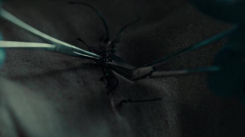 Кадры из сериала Ганнибал (2013)